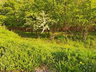  Terrain � vendre 580 m�