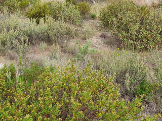  Terrain � vendre 325 m�