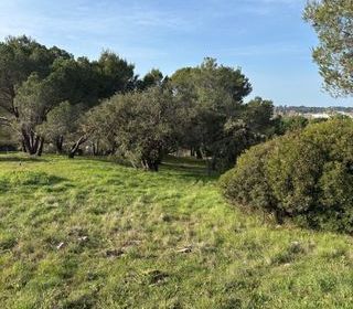  Terrain � vendre 647 m�