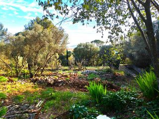  Terrain � vendre 442 m�