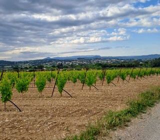  Terrain � vendre 250 m�