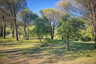  Terrain � vendre 1413 m�