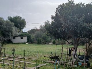  Terrain � vendre 1002 m�