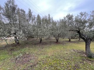  Terrain � vendre 789 m�