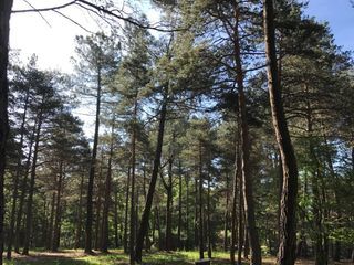  Terrain � vendre 3969 m�