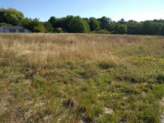  Terrain � vendre 890 m�