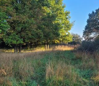  Terrain � vendre 789 m�