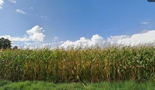  Maison � vendre 6 pi�ces 150 m�