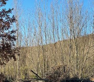  Terrain � vendre 742 m�