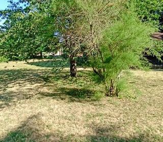  Maison 6 pi�ces 140 m� Tournefeuille