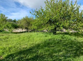  Terrain � vendre 900 m�