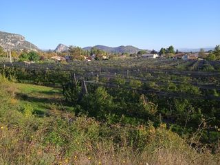  Terrain � vendre 306 m�