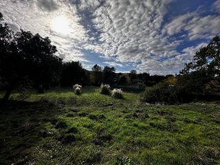  Terrain � vendre 2299 m�