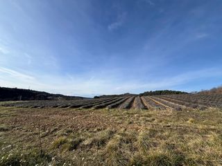  Terrain � vendre 617 m�