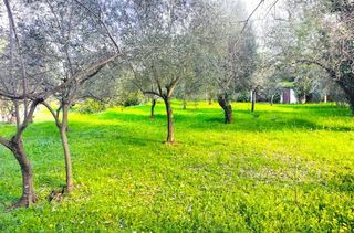  Terrain � vendre 1000 m�