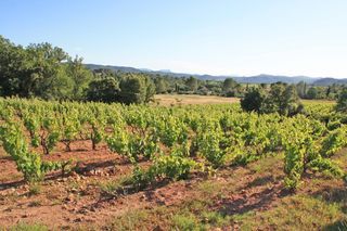  Terrain � vendre 1517 m�