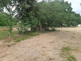  Maison 6 pi�ces 115 m� Fronton