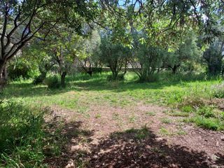  Terrain � vendre 449 m�