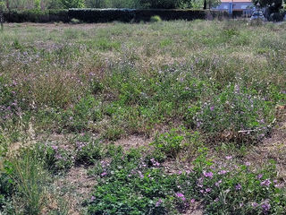  Terrain � vendre 728 m�