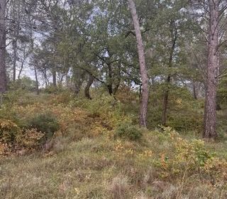  Maison � vendre 5 pi�ces 92 m�