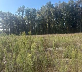  Terrain � vendre 850 m�