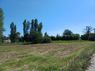  Maison 7 pi�ces 150 m� Ponteilla