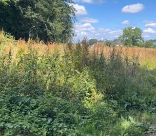  Terrain � vendre 700 m�