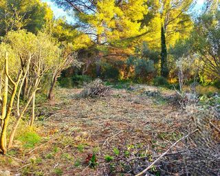  Terrain � vendre 442 m�