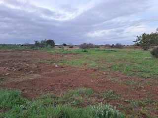  Terrain � vendre 380 m�