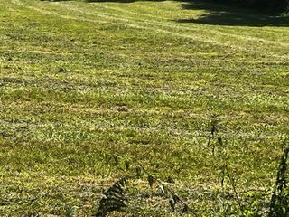  Terrain � vendre 303 m�