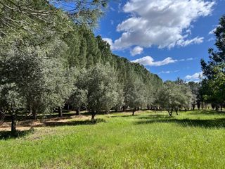  Terrain � vendre 413 m�