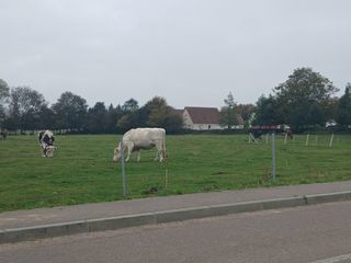  Terrain � vendre 500 m�