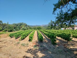  Maison 5 pi�ces 90 m� Cogolin