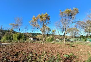  Maison 4 pi�ces 120 m� Le luc