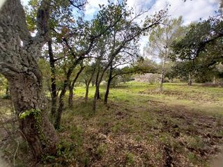  Maison 6 pi�ces 120 m� Saint-rapha�l