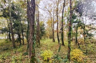  Terrain � vendre 700 m�