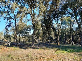  Terrain � vendre 2214 m�