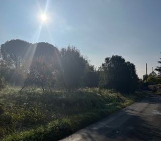  Maison 3 pi�ces 50 m� Albi