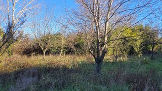  Terrain � vendre 328 m�