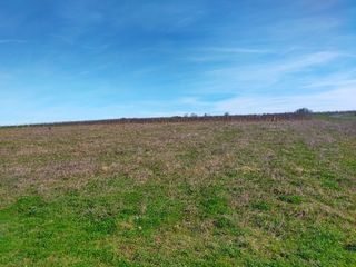  Terrain � vendre 1200 m�