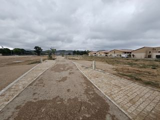  Terrain � vendre 255 m�
