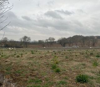  Maison 6 pi�ces 166 m� Castelnau-de-l�vis