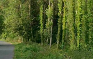  Terrain � vendre 810 m�