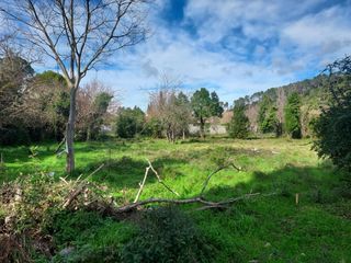  Terrain � vendre 503 m�