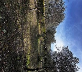  Terrain � vendre 2000 m�