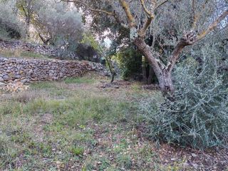  Terrain � vendre 1005 m�