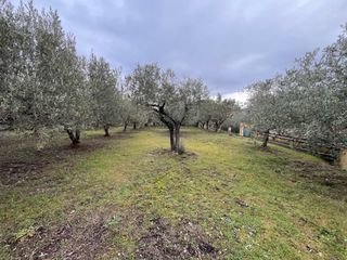  Terrain � vendre 789 m�