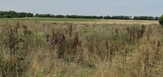  Maison � vendre 8 pi�ces 145 m�