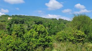  Terrain � vendre 937 m�