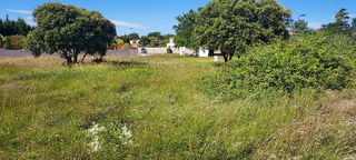  Terrain � vendre 617 m�